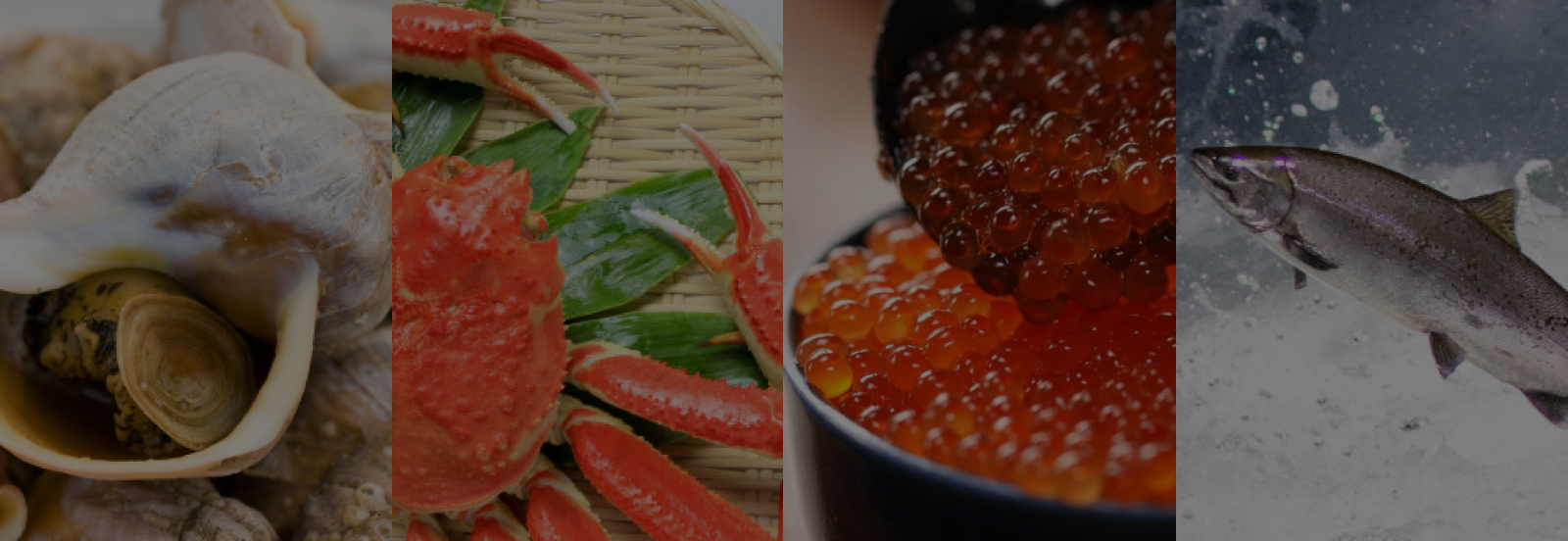 オンライン展示会（サンプル）